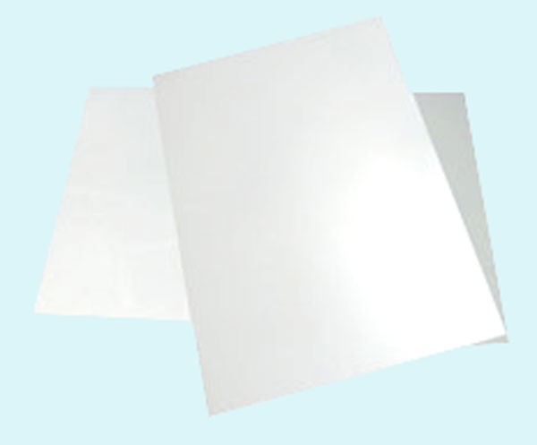 แผ่นรองหลัง (Back Sheet)